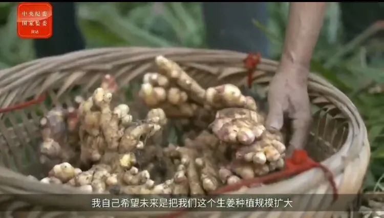 微信图片_20230210140020.jpg